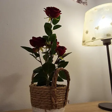 Gruppo Aedes Alghero, Residenza L'isola - 200 Mt Dalla Apartamento *